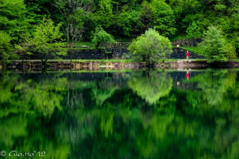 Riflesso verde
